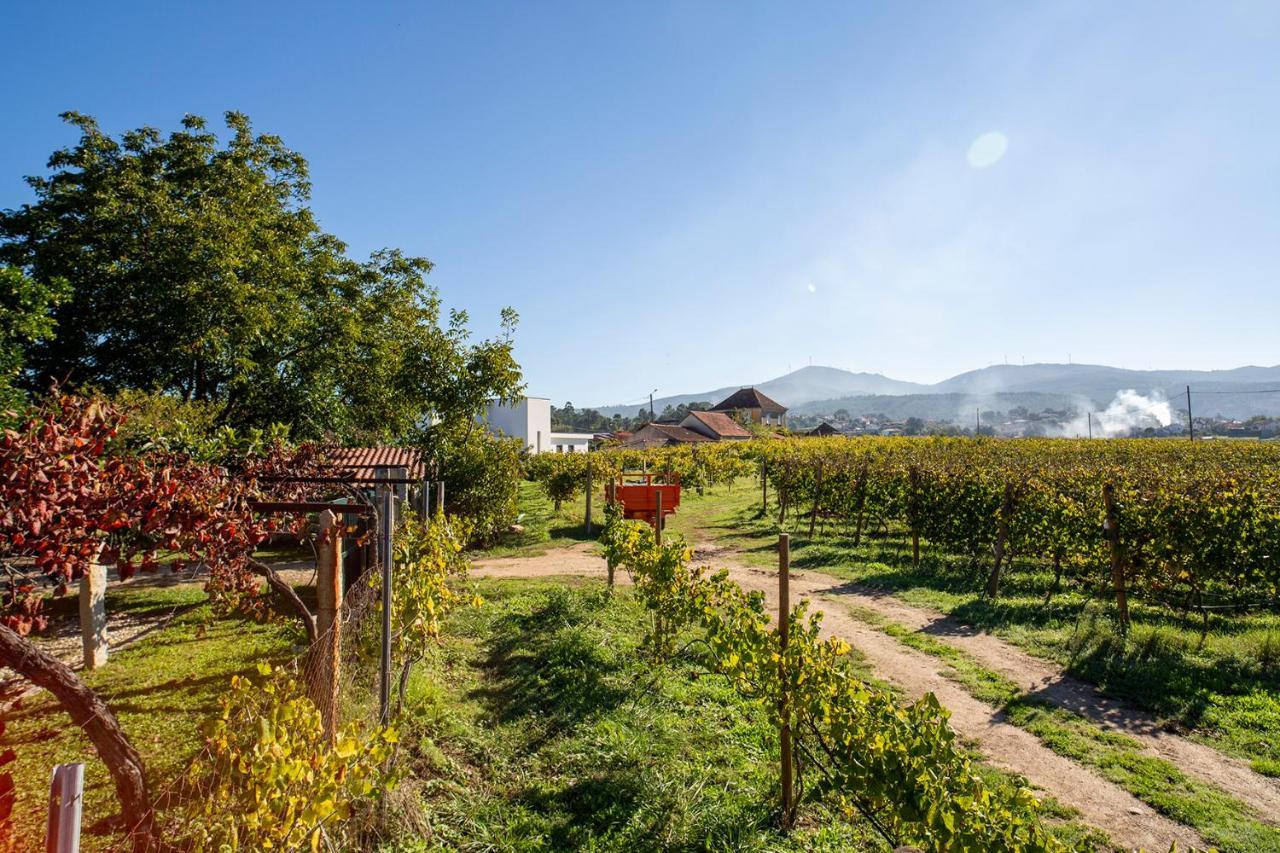 Quinta De Vila Nova - Agroturismo Moncao Ngoại thất bức ảnh